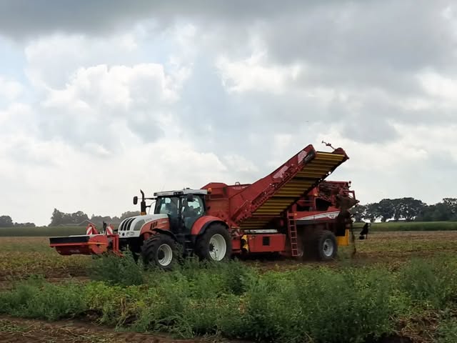 De aardappeloogst bij Boerderijwinkel Ermerveen: een tractor en rooimachine op het land